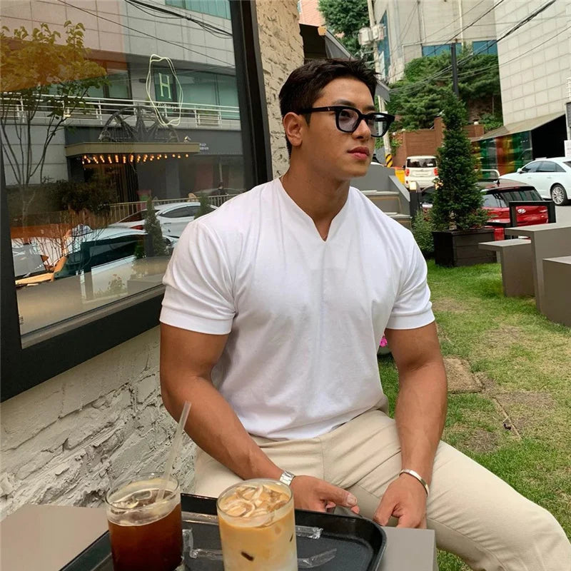 Summer Men Business Causal T-shirt Beach Fashion Thin Stand Collar Solid Tee V-neck Breathable Fitness Korean Streetwear Tops