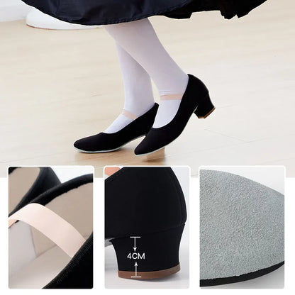 Ballet Shoes for Girls Dance Shoes for Woman Dancing Slippers Gymnastics Shoes Character Teacher Shoes High Heel Dancing Shoes