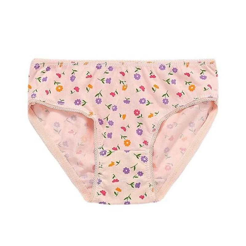 4Pcs Lot Kids Girls Short Briefs Children Underwear Cotton Underpants Baby Panties 2-12Years