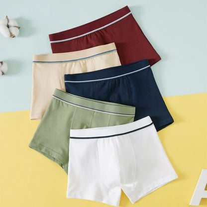 Children's underwear cotton boys  boys and teenagers boxer shorts boxer shorts 5-pack