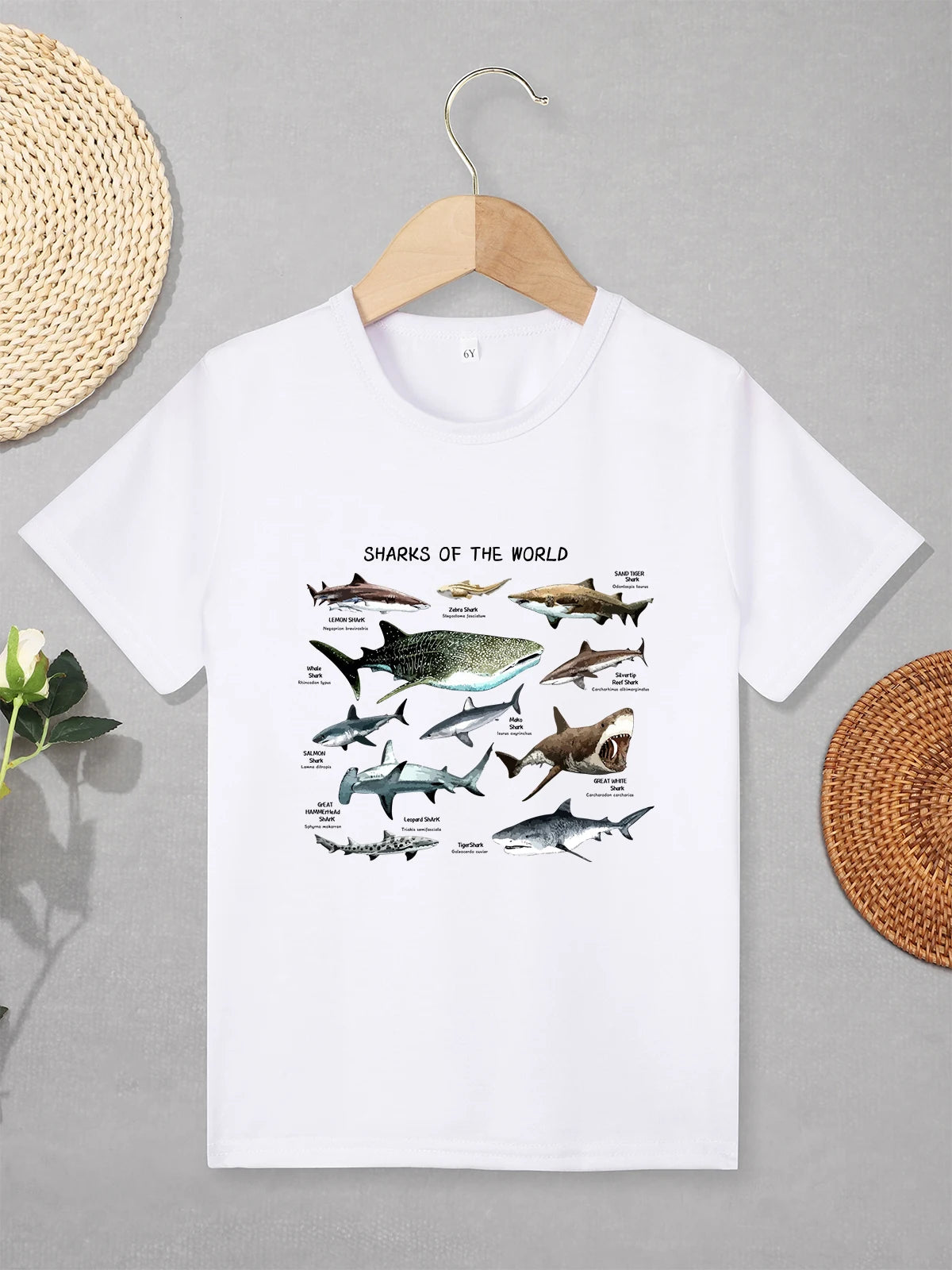 Grey T-shirt for boys, aquarium shark cartoon print, summer casual and comfortable T-shirt for young children