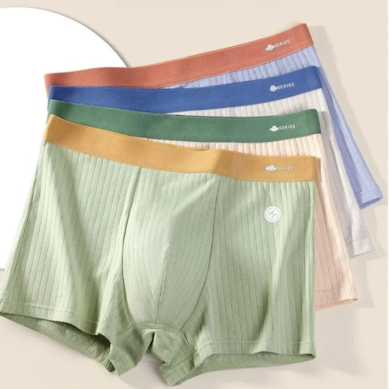 4PCS Teens Boys Antibacterial Panties for Kids Thin Soft Breathable Knickers 8+y Children Underwears Young Baby Solid Briefs