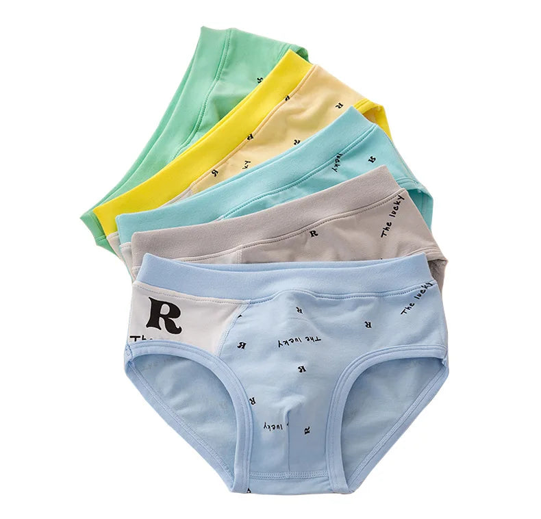 new arrived high quality boys teenagers briefs panties kids children underwear 2-16years 5pcs/lot letter car students