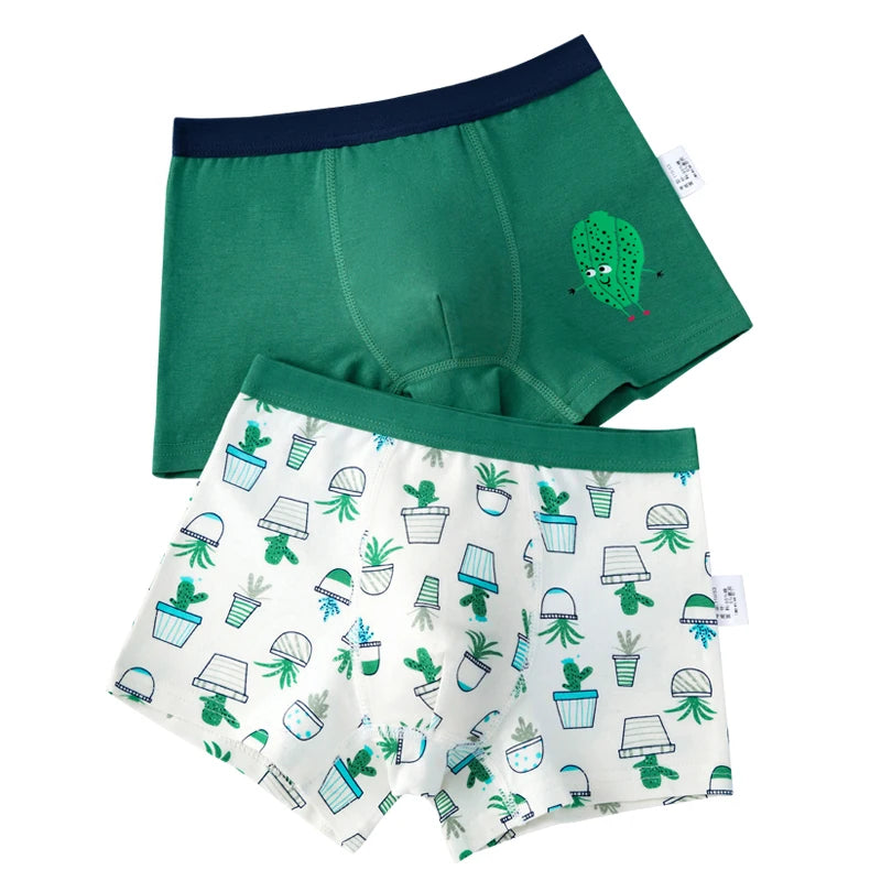 2Pcs/Lot Boys Underwear Boxer Elephant Dinosaur Design Kids Cotton Briefs Children's Panties Soft Shorts 2-14Y