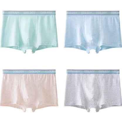 4PCS Teens Boys Cotton Antibacterial Panties Kid Solid Daily Knickers Teenagers Thin Breathable Briefs 3+y Young Child Underwear